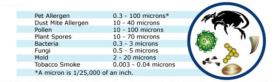 Indoor Air Quality Testing Purifier Guide Allergens Size Ranges